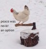 Peace was not an option.jpg