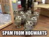 spam-from-hogwarts.jpg
